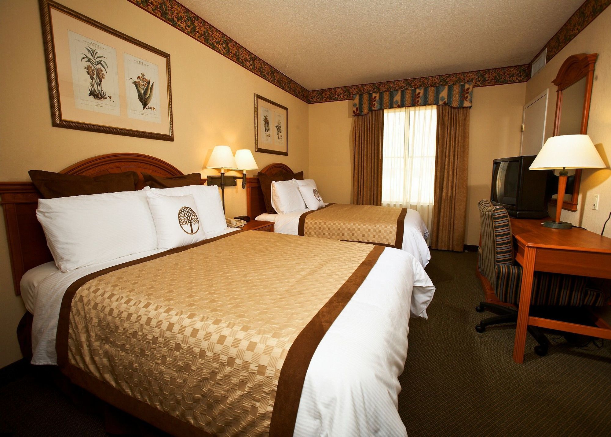 Staysky Suites I-Drive Orlando Near Universal מראה חיצוני תמונה