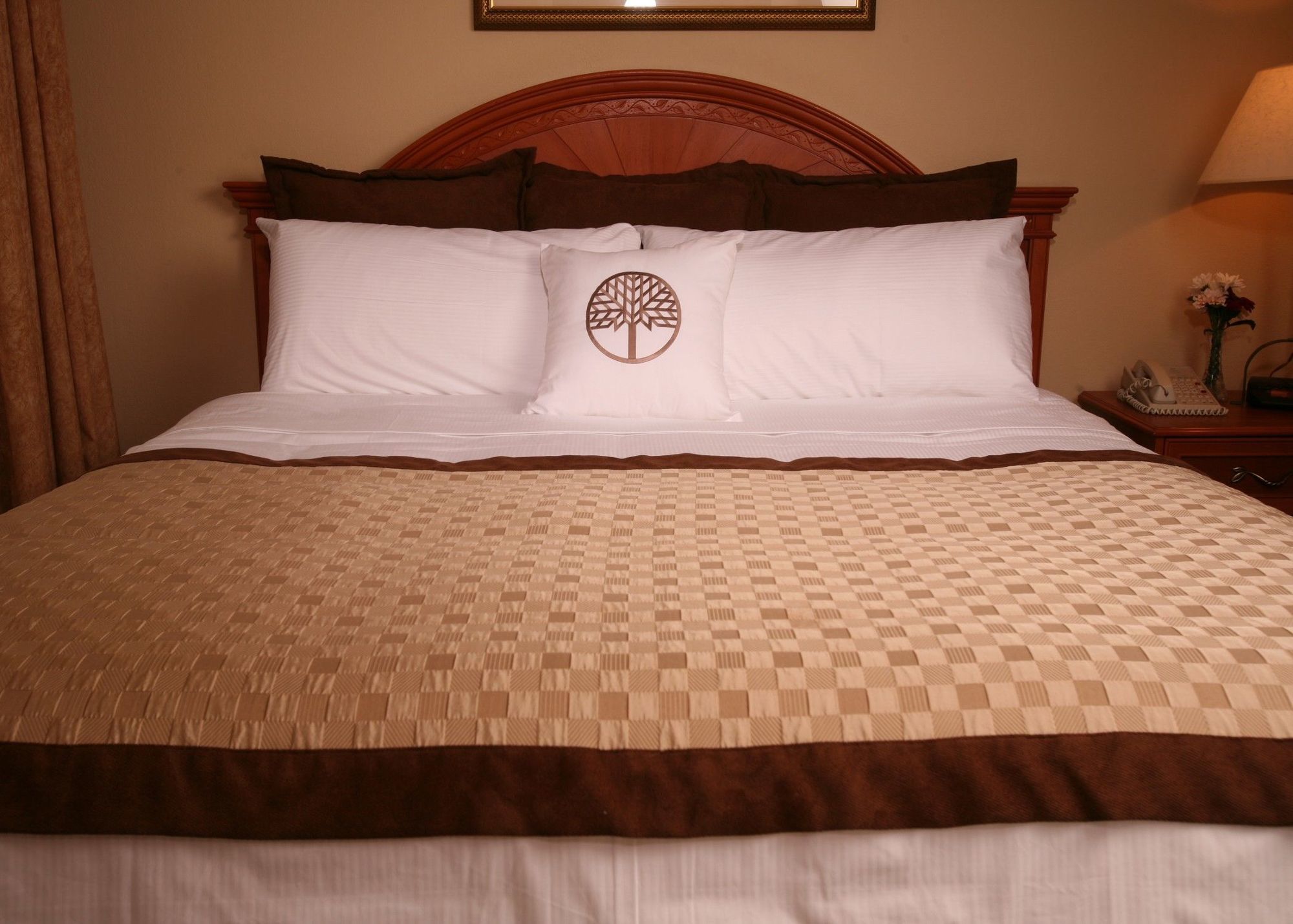 Staysky Suites I-Drive Orlando Near Universal מראה חיצוני תמונה
